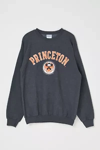Vintage Y2k Princeton Sweatshirt