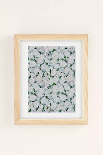 Ann Marie Coolick Annabelle Hydrangea Art Print