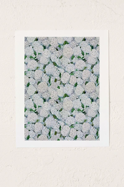 Ann Marie Coolick Annabelle Hydrangea Art Print