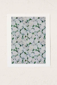 Ann Marie Coolick Annabelle Hydrangea Art Print