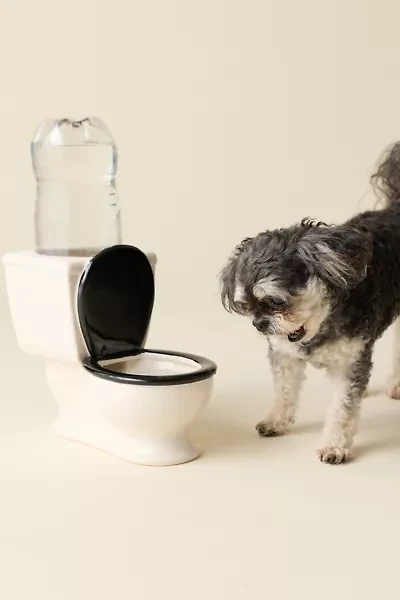 The Toilet Bowl Ceramic Dog Bowl