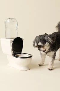 The Toilet Bowl Ceramic Dog Bowl