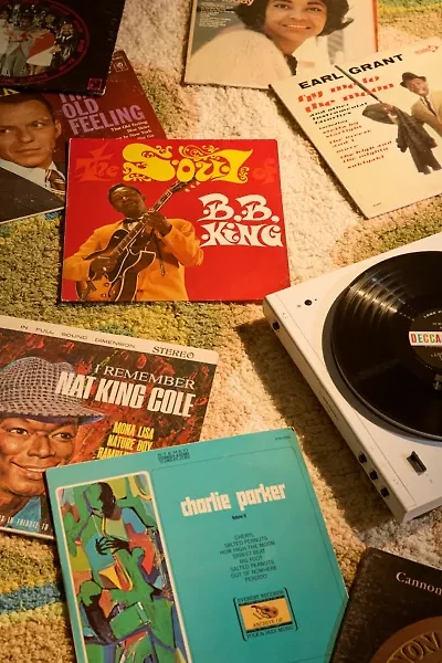 Vintage Jazz LP