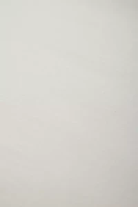 Solid Ruffle Trim Duvet Cover