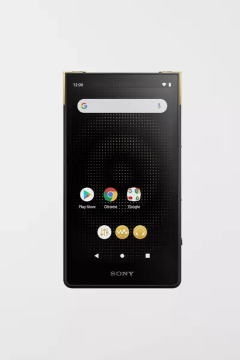 Sony NW-ZX707 Walkman ZX Series Digital Music Player