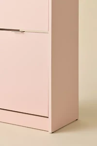 Eddie Entryway 2-Drawer Shoe Storage Cabinet