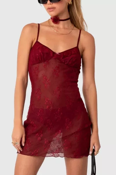 Edikted Madame Sheer Lace Mini Dress
