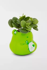 Care Bears Ceramic Mini Succulent Planter