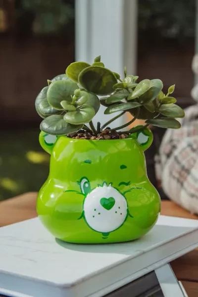 Care Bears Ceramic Mini Succulent Planter
