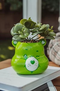 Care Bears Ceramic Mini Succulent Planter