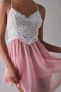 Out From Under Cassandra Sheer Lace + Mesh Hanky Hem Slip