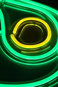 Echo Neon Avocado Neon Sign