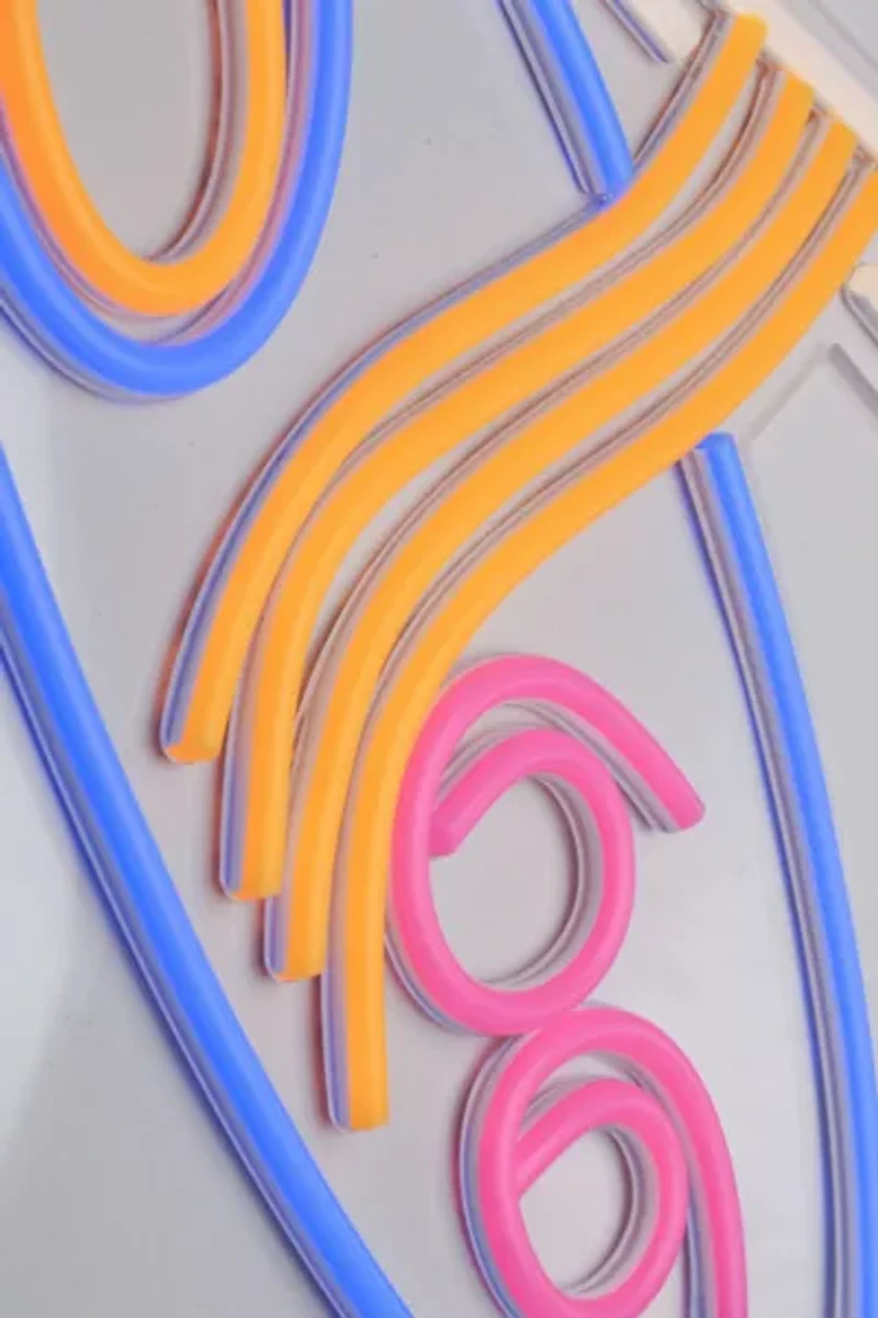 Echo Neon Ramen Neon Sign