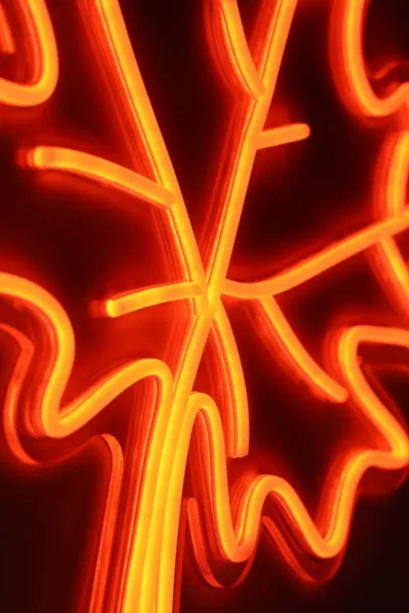 Echo Neon Maple Leaf Neon Sign