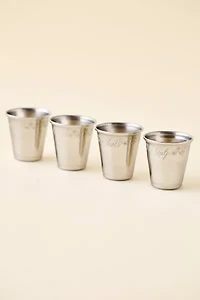Esme Stainless Steel Shot Glass Set