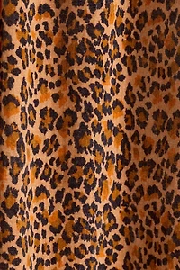 Dolores Leopard Patterned Velvet Window Panel