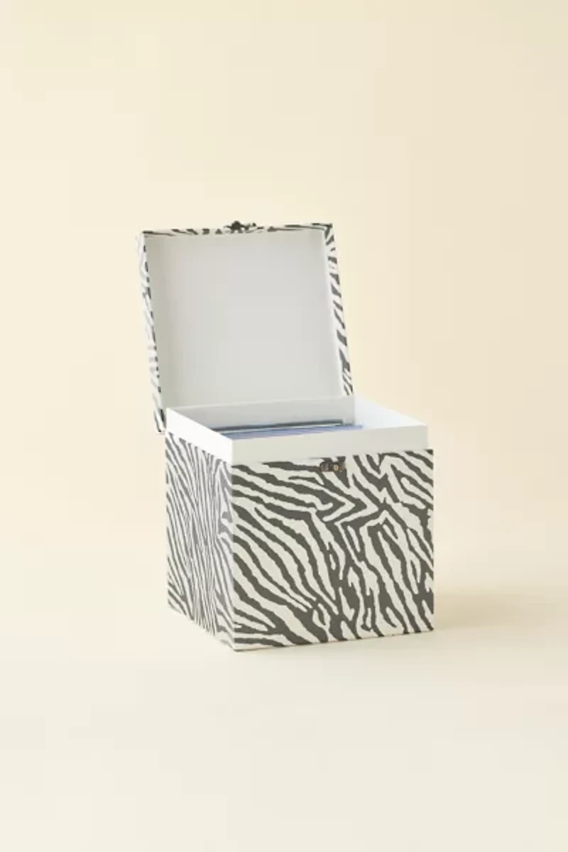 Lenny Vinyl Record Storage Box