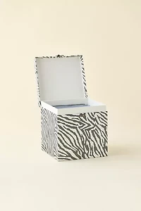 Lenny Vinyl Record Storage Box