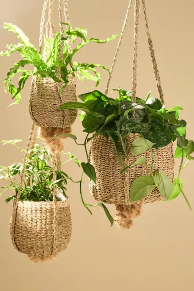 Seagrass Rattan Hanging Basket Planter Set