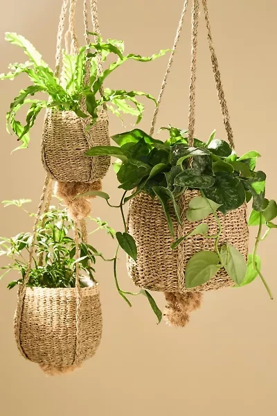 Seagrass Rattan Hanging Basket Planter Set