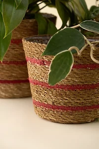 Woven Seagrass & Jute Basket Plant Cover Set