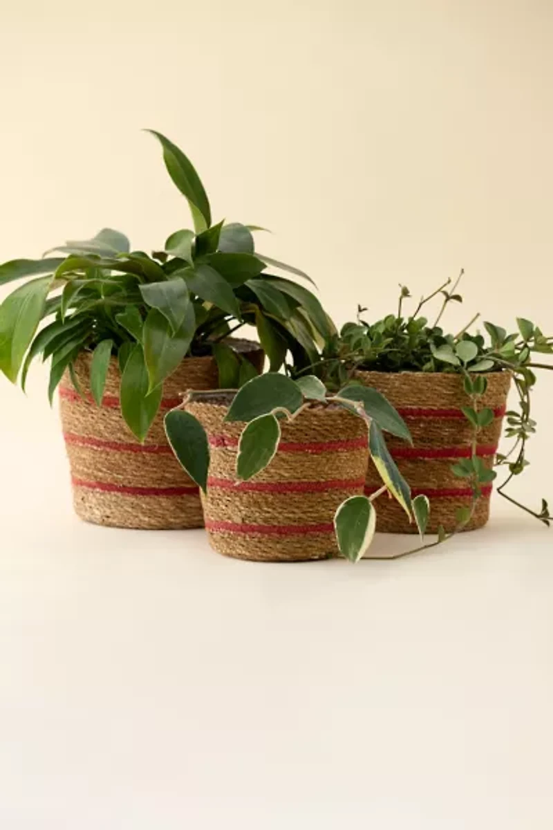 Woven Seagrass & Jute Basket Plant Cover Set