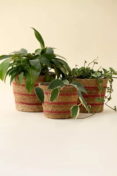 Woven Seagrass & Jute Basket Plant Cover Set