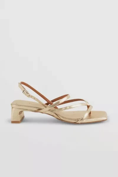 Intentionally Blank Pup Slingback Thong Sandal