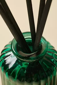 Paddywax Holiday Glass Reed Diffuser & Fragrance Oil Set