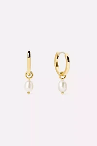 Ana Luisa Frida Huggie Hoops