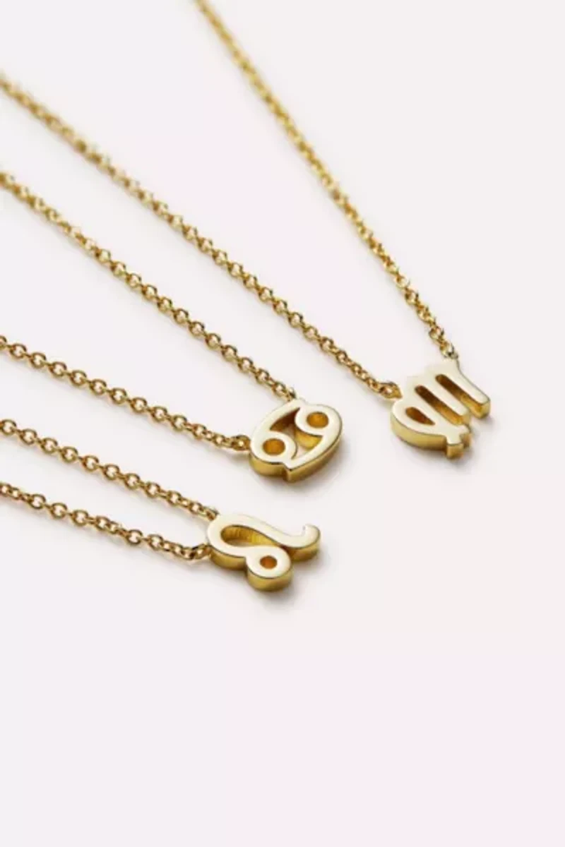 Ana Luisa  Zodiac Necklace