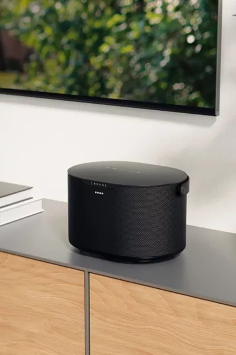 Brane Audio Brane X Portable Bluetooth Speaker