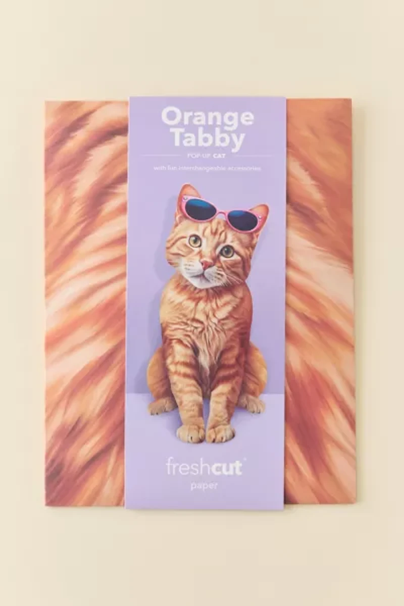 FreshCut Paper Orange Tabby Cat Pop-Up Greeting Card