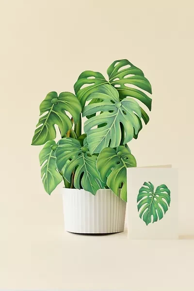 FreshCut Paper Monstera Pop-Up Greeting Card