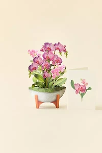 FreshCut Paper Mini Orchid Oasis Pop-Up Greeting Card