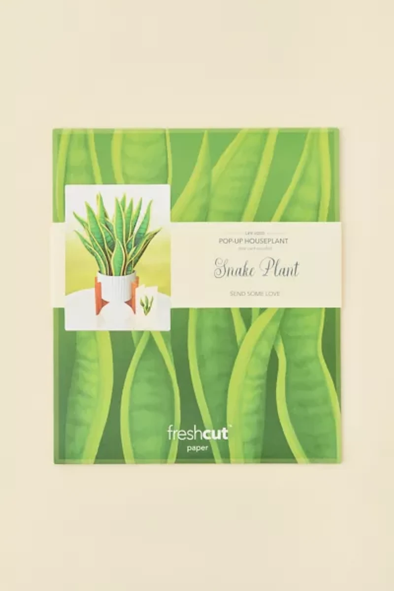 FreshCut Paper Snake Plant Pop-Up Greeting Card