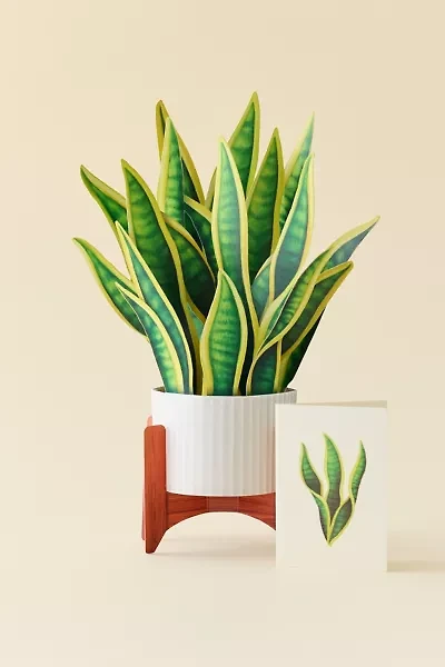 FreshCut Paper Snake Plant Pop-Up Greeting Card