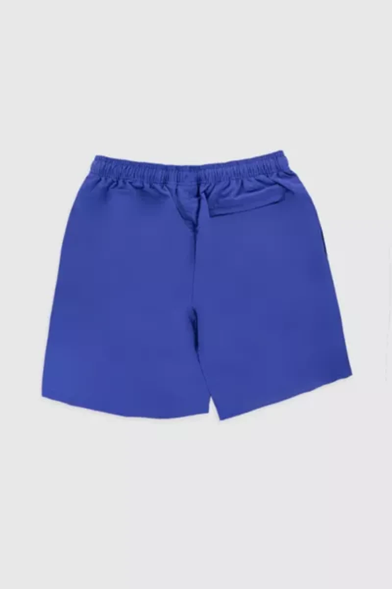Stussy Big Basic Water Short
