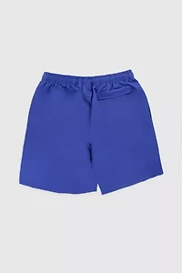 Stussy Big Basic Water Short