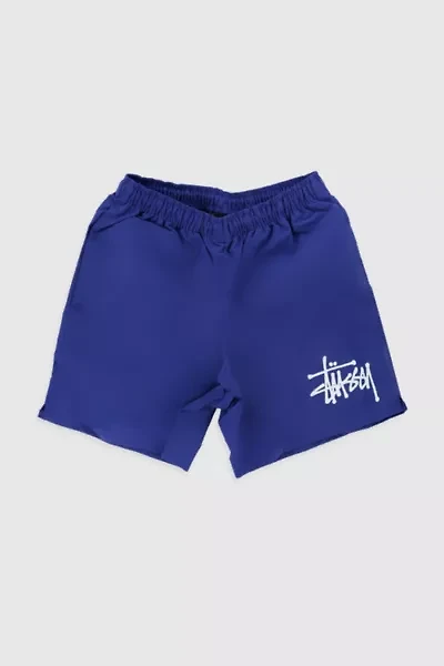 Stussy Big Basic Water Short