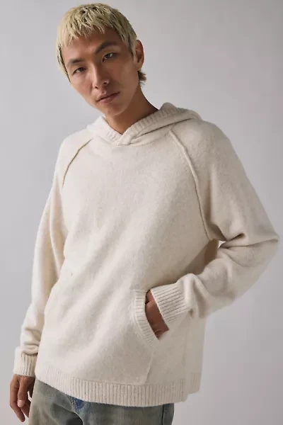 UO Pullover Hooded Sweater