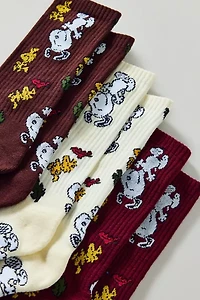 Peanuts Snoopy Sweater Weather Crew Sock 3-Pack