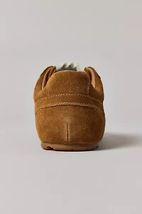 Steve Madden Aziel Suede Sneaker