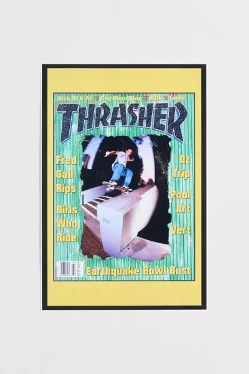 Thrasher Cover February 1995 Poster