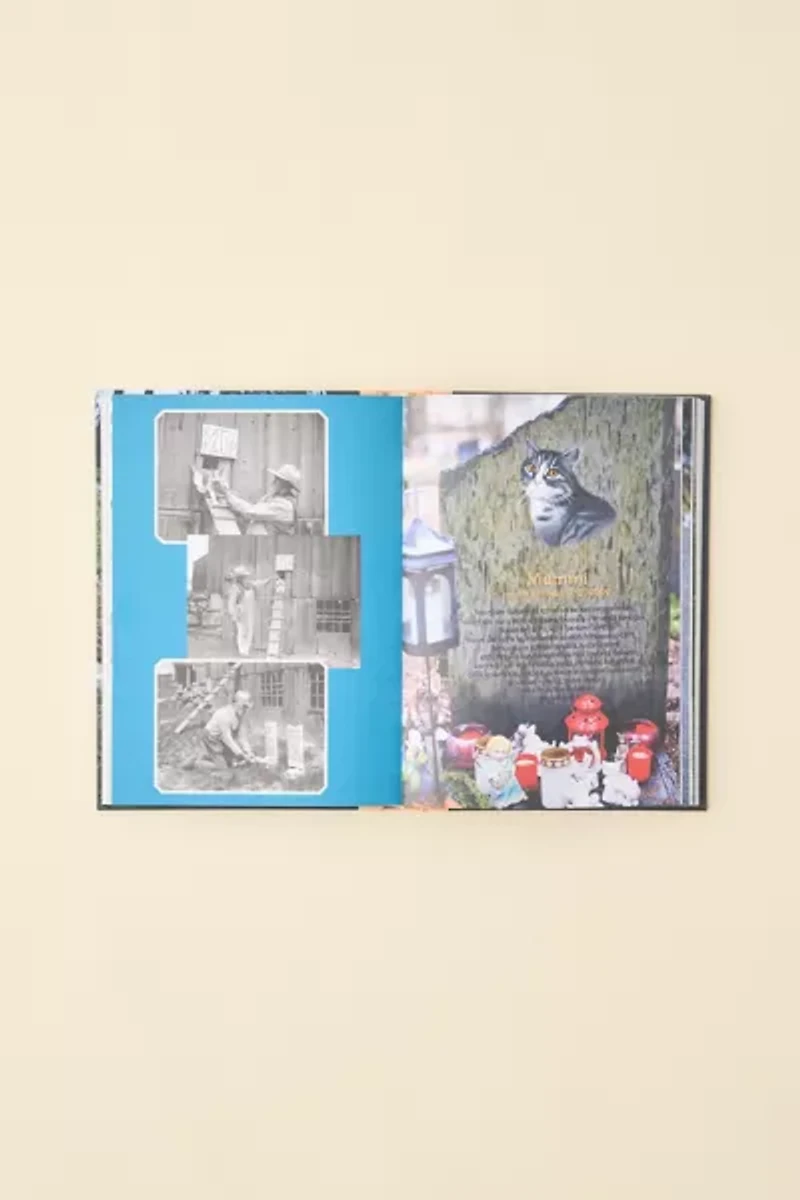 Faithful Unto Death: Pet Cemeteries, Animal Graves, And Eternal Devotion By Paul Koudounaris
