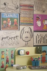 The Peanuts Poster Collection By Chip Kidd & Geoff Spear
