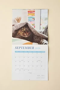 Cats & Books 2026 Wall Calendar