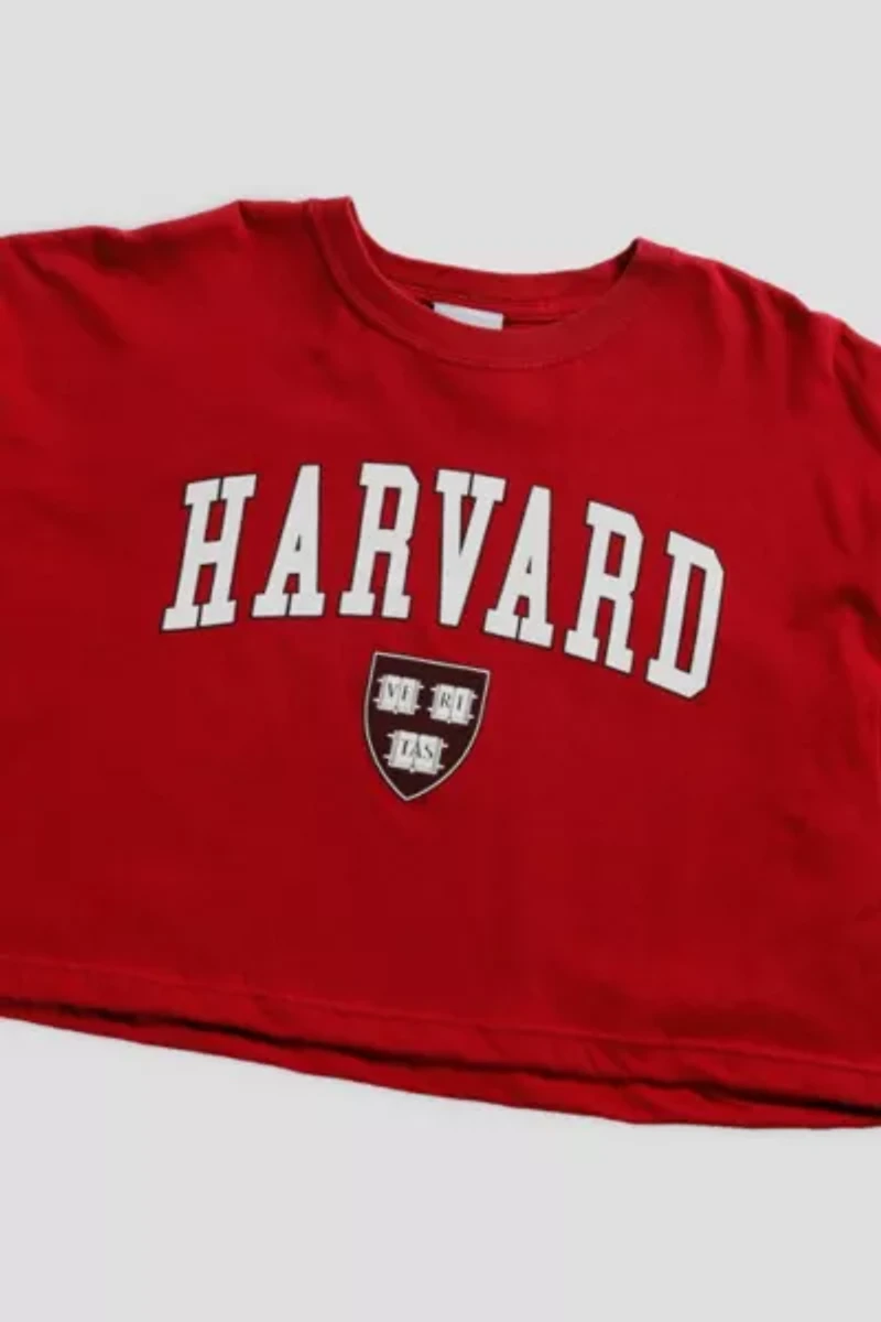 Frankie Collective Rework Harvard Crop Tee