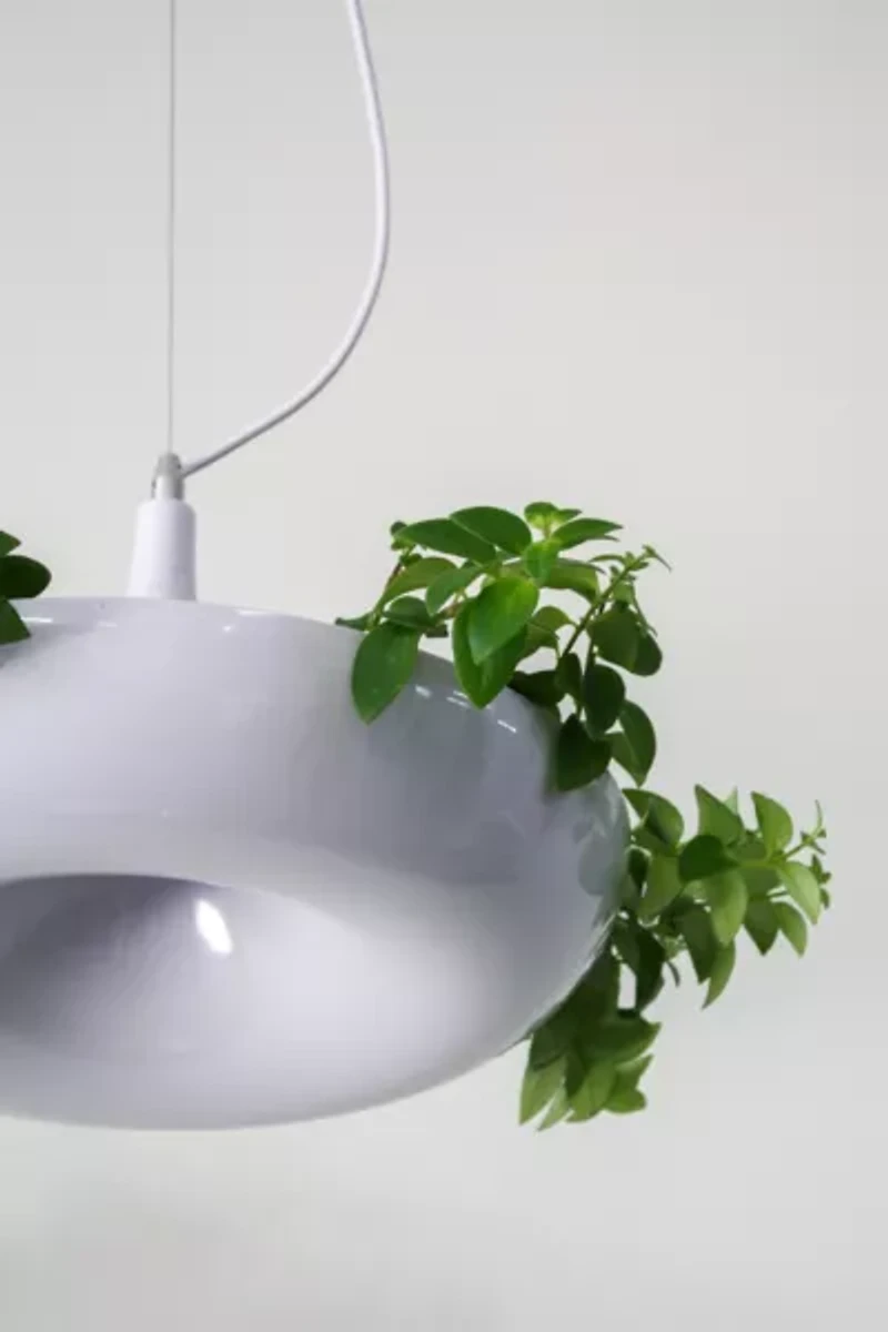 Dupe Planter Pendant Lamp