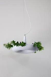 Dupe Planter Pendant Lamp